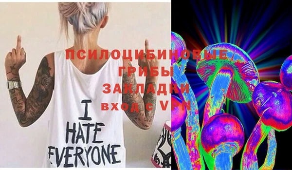 трава Заволжск