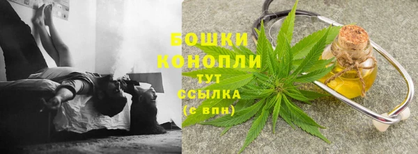 трава Заволжск