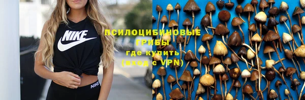 трава Заволжск
